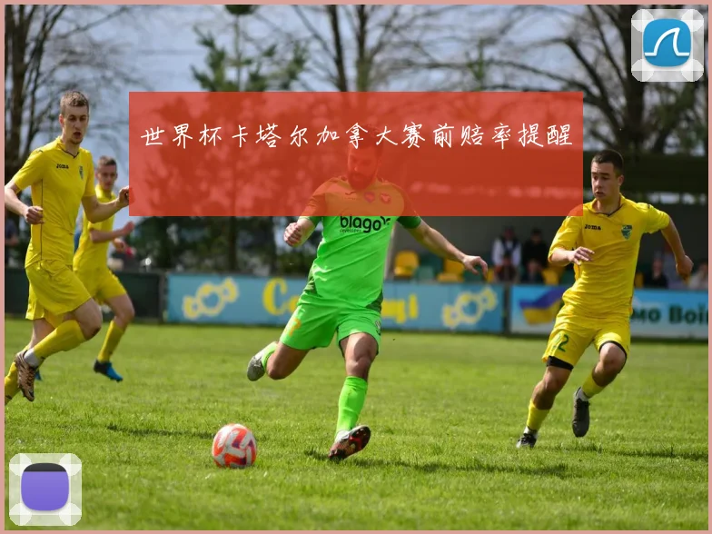 世界杯卡塔尔加拿大赛前赔率提醒