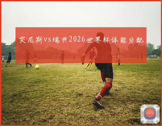 突尼斯vs瑞典2026世界杯体能分配