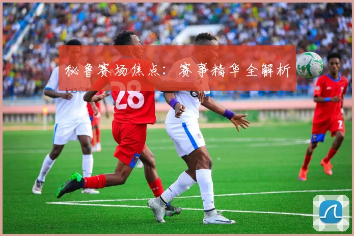 秘鲁赛场焦点：赛事精华全解析