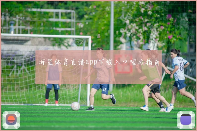 海星体育直播app下载入口官方指南