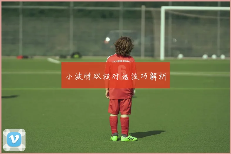 小波特双核对话技巧解析