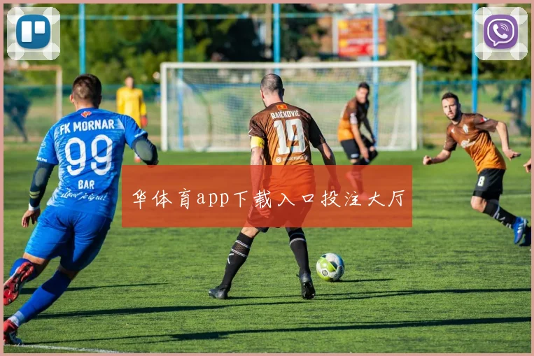华体育app下载入口投注大厅