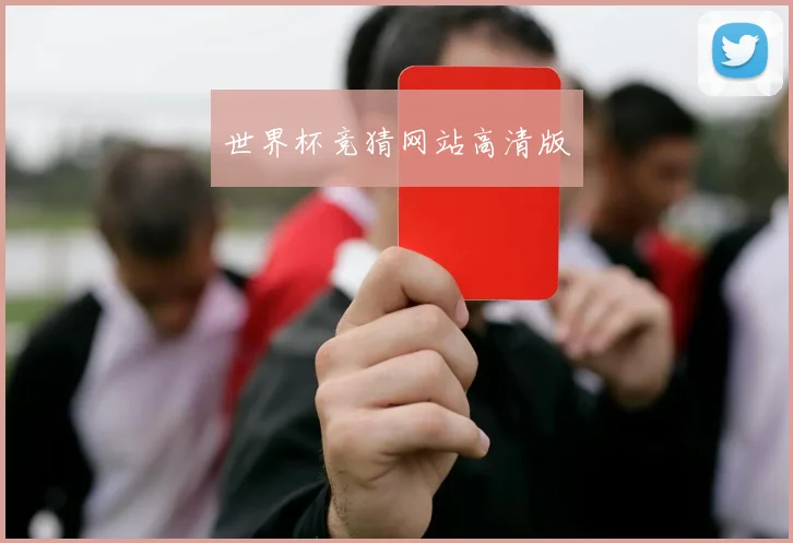 世界杯竞猜网站高清版