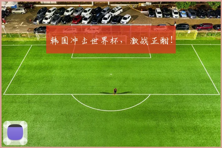 韩国冲击世界杯，激战正酣！