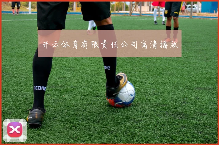 开云体育有限责任公司高清播放
