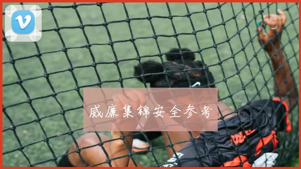 威廉集锦安全参考