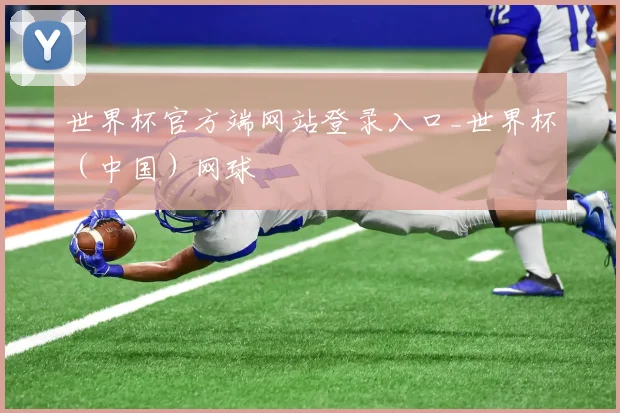 世界杯官方端网站登录入口_世界杯（中国）网球