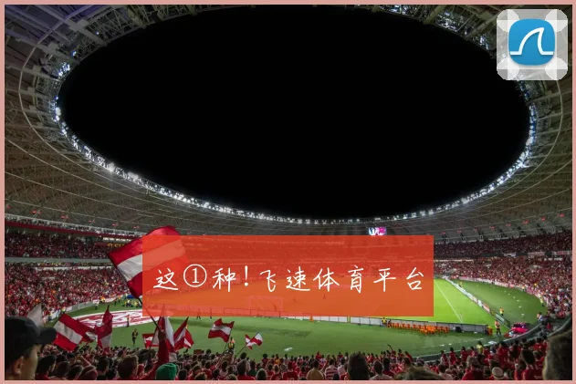 这①种!飞速体育平台