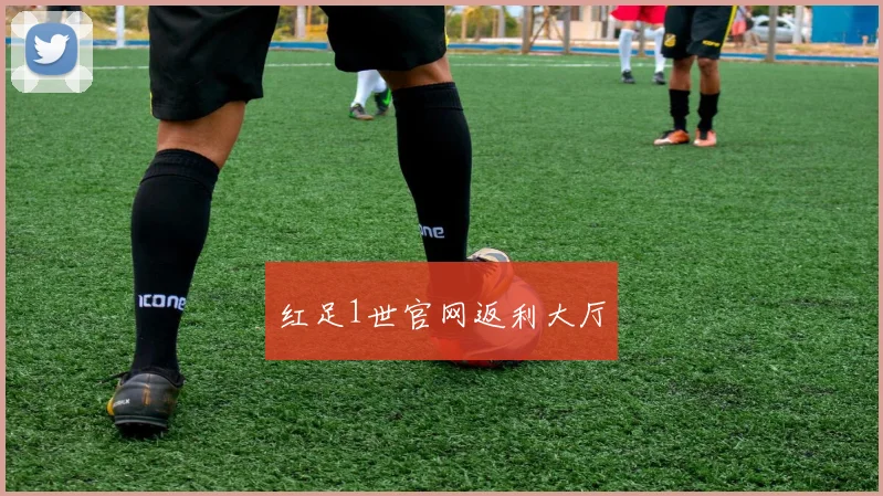 红足1世官网返利大厅