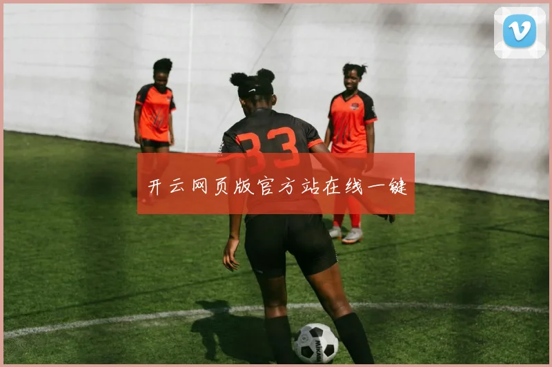 开云网页版官方站在线一键