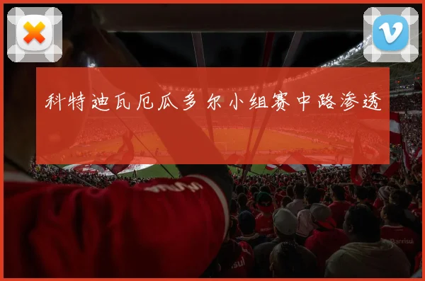 科特迪瓦厄瓜多尔小组赛中路渗透