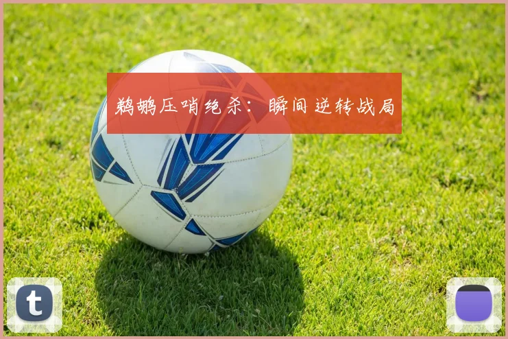 鹈鹕压哨绝杀：瞬间逆转战局