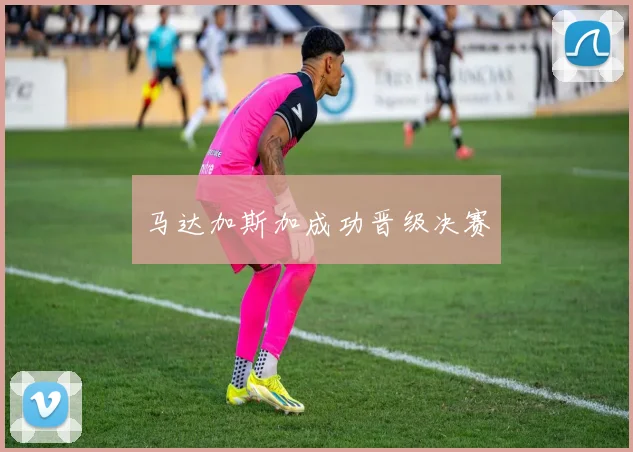 马达加斯加成功晋级决赛