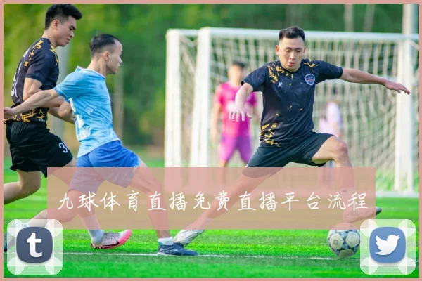 九球体育直播免费直播平台流程