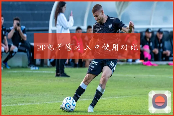 pp电子官方入口使用对比