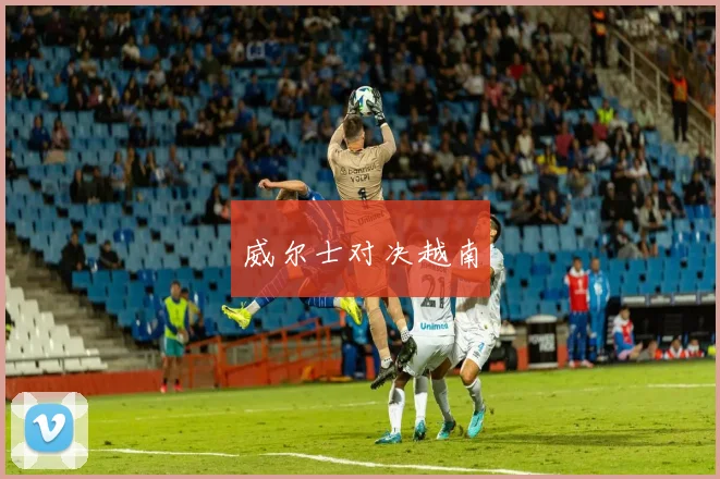 威尔士对决越南