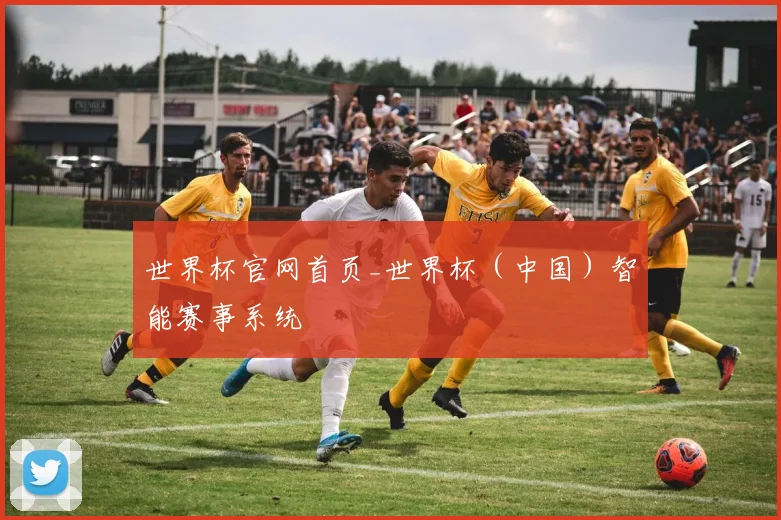 世界杯官网首页_世界杯（中国）智能赛事系统