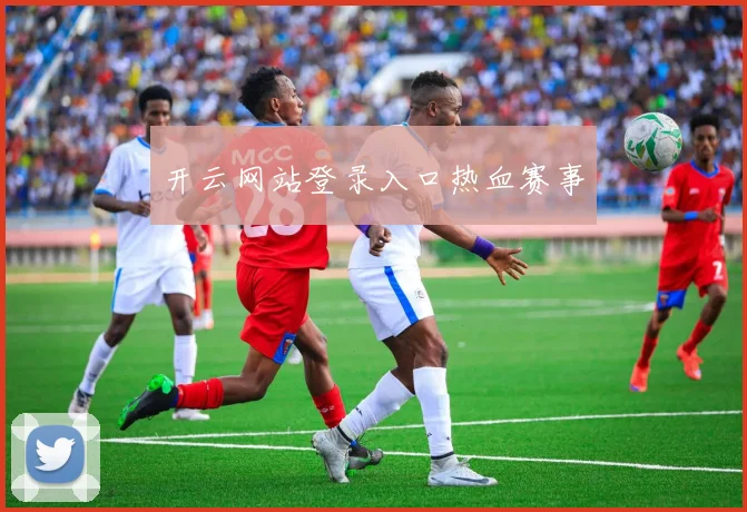 开云网站登录入口热血赛事