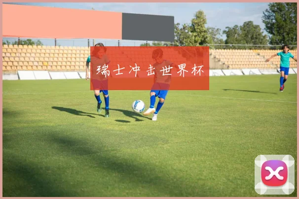 瑞士冲击世界杯