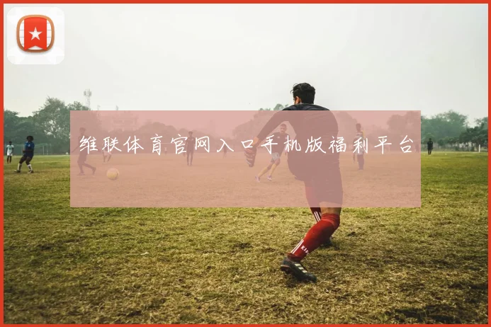 维联体育官网入口手机版福利平台