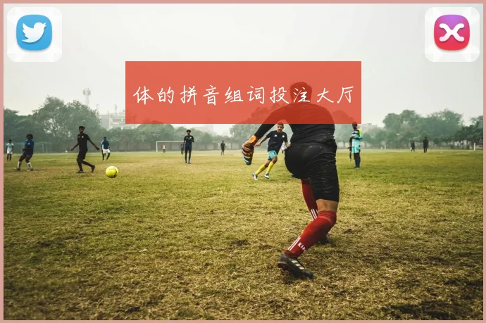 体的拼音组词投注大厅