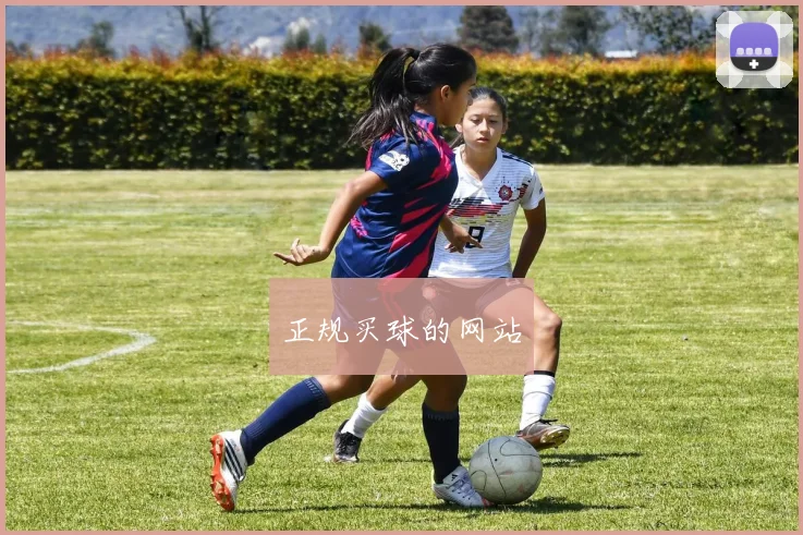 正规买球的网站