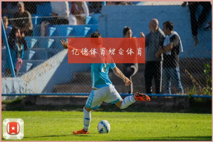 亿德体育综合体育