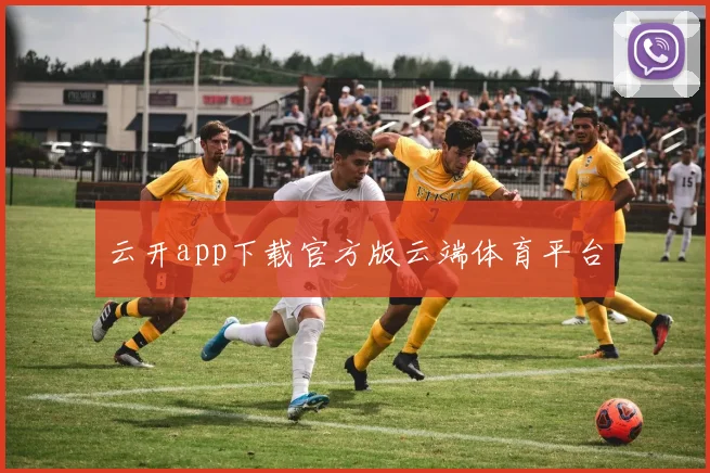 云开app下载官方版云端体育平台