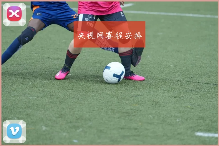 央视网赛程安排