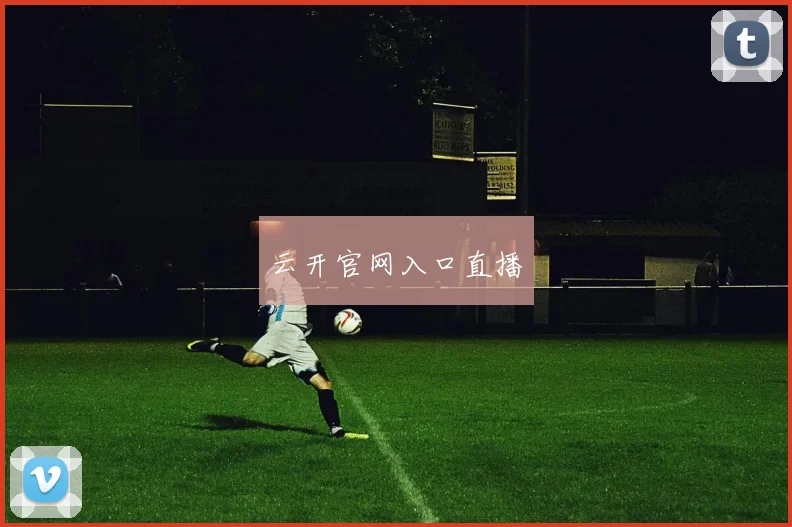 云开官网入口直播