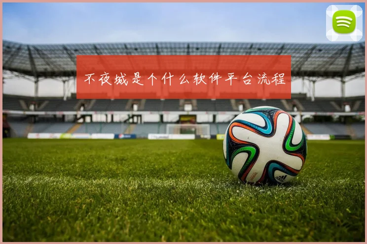 不夜城是个什么软件平台流程