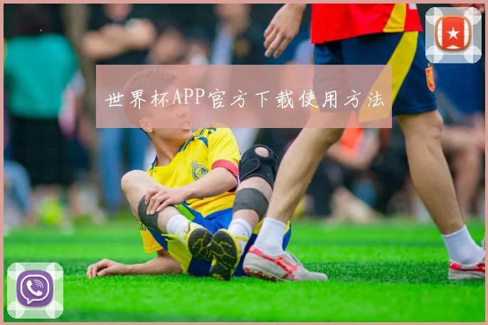 世界杯APP官方下载使用方法