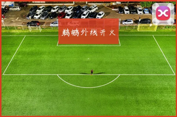 鹈鹕外线开火
