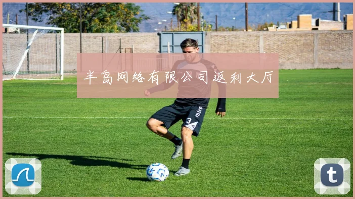 半岛网络有限公司返利大厅