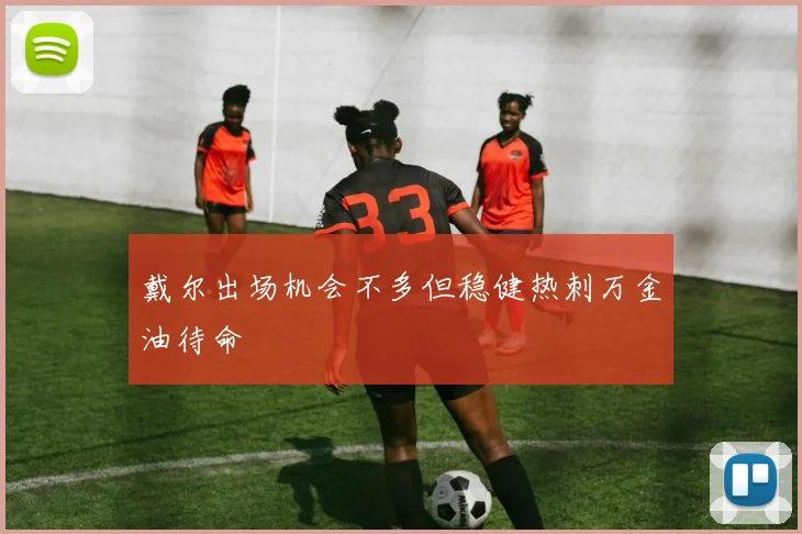 戴尔出场机会不多但稳健热刺万金油待命