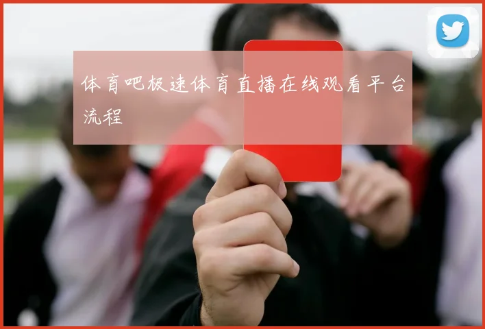 体育吧极速体育直播在线观看平台流程