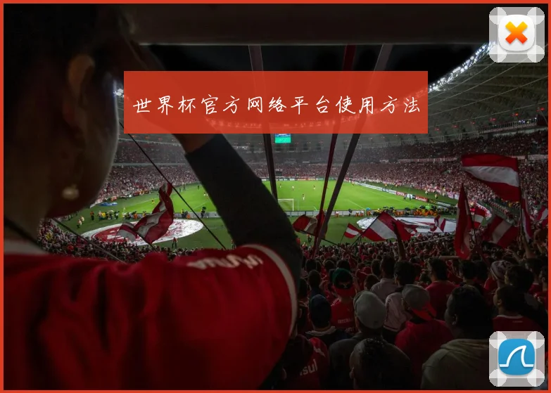 世界杯官方网络平台使用方法