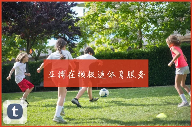亚搏在线极速体育服务