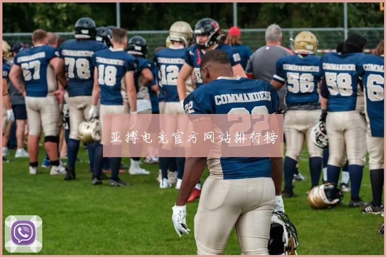 亚搏电竞官方网站排行榜