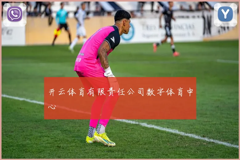 开云体育有限责任公司数字体育中心