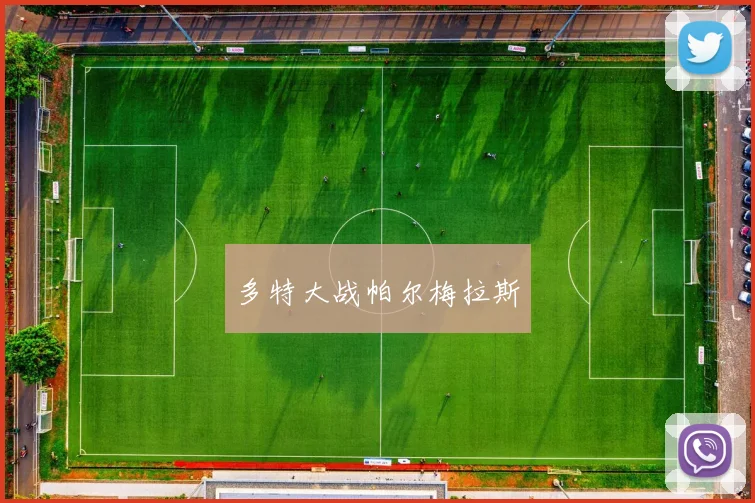 多特大战帕尔梅拉斯