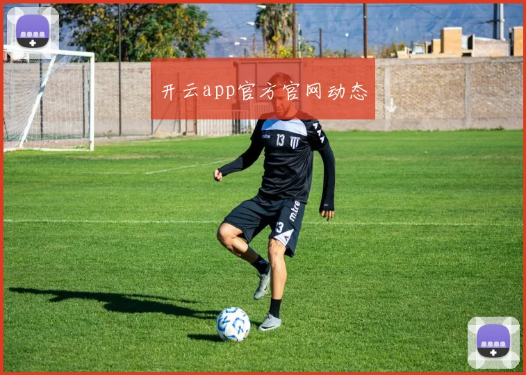开云app官方官网动态