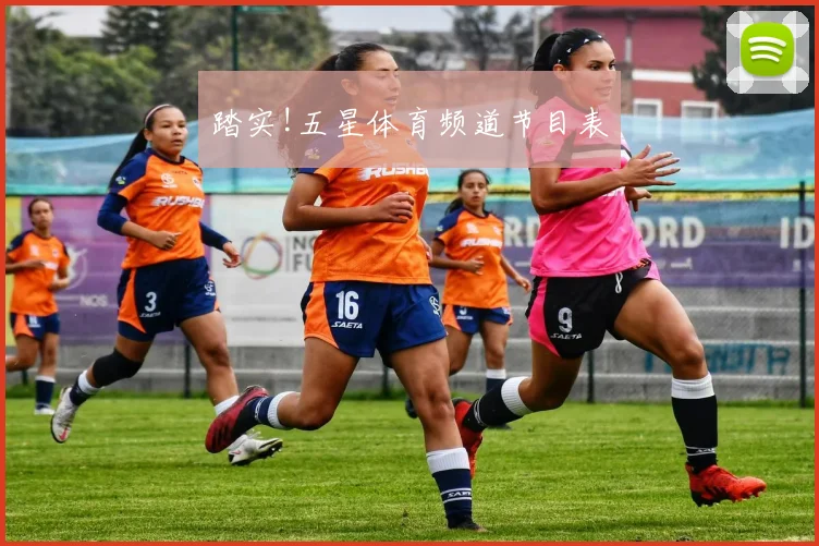 踏实!五星体育频道节目表