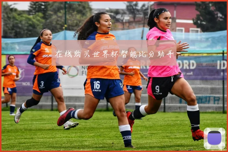 在线购买世界杯智能比分助手