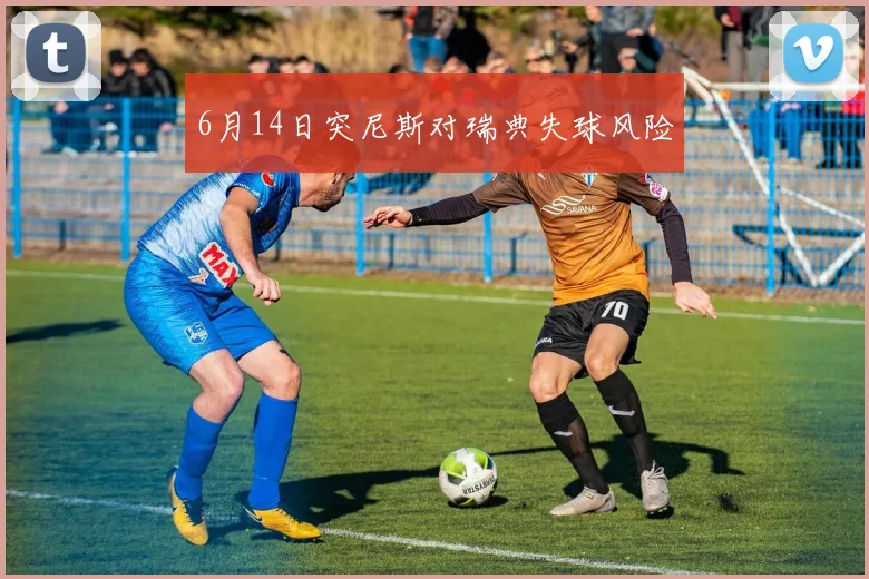 6月14日突尼斯对瑞典失球风险